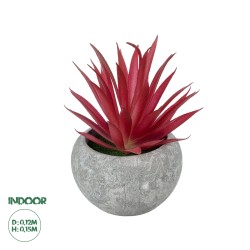 Artificial Garden AIR PLANT TILLANDSIA POTTED PLANT 21035 Διακοσμητικό Φυτό Τιλάντσια Φ12 x Υ15cm