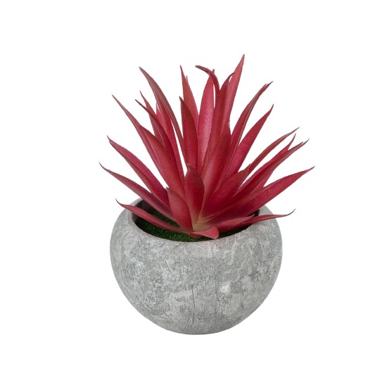 Artificial Garden AIR PLANT TILLANDSIA POTTED PLANT 21035 Διακοσμητικό Φυτό Τιλάντσια Φ12 x Υ15cm