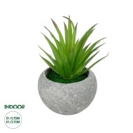 Artificial Garden AIR PLANT TILLANDSIA POTTED PLANT 21036 Διακοσμητικό Φυτό Τιλάντσια Φ12 x Υ15cm