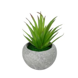 Artificial Garden AIR PLANT TILLANDSIA POTTED PLANT 21036 Διακοσμητικό Φυτό Τιλάντσια Φ12 x Υ15cm