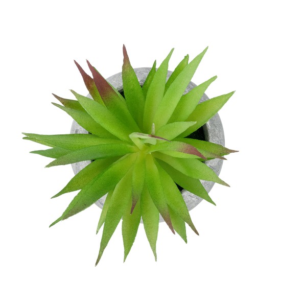 Artificial Garden AIR PLANT TILLANDSIA POTTED PLANT 21036 Διακοσμητικό Φυτό Τιλάντσια Φ12 x Υ15cm