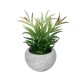 Artificial Garden SUCCULENT CRASSULA POTTED PLANT 21038 Διακοσμητικό Φυτό Κρασούλα  Φ10 x Υ17cm