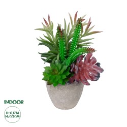 Artificial Garden SUCCULENT VARIUS PLANT POTTED 21039 Διακοσμητικό Φυτό Μίξ Μ17 x Υ20cm