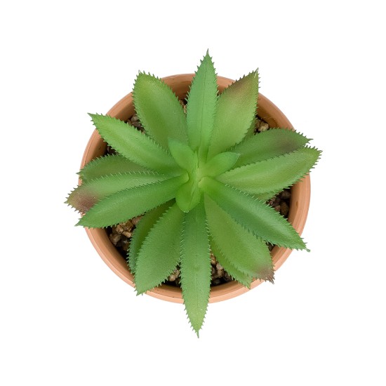 Artificial Garden SUCCULENT ALOE POTTED PLANT 21040 Διακοσμητικό Φυτό Αλόη Φ9 x Υ14cm