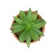 Artificial Garden SUCCULENT ALOE POTTED PLANT 21040 Διακοσμητικό Φυτό Αλόη Φ9 x Υ14cm