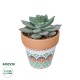 Artificial Garden SUCCULENT SEDEVERIA POTTED PLANT 21041 Διακοσμητικό Φυτό Σεδεβέρια  Φ11x Υ14cm