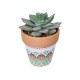 Artificial Garden SUCCULENT SEDEVERIA POTTED PLANT 21041 Διακοσμητικό Φυτό Σεδεβέρια  Φ11x Υ14cm