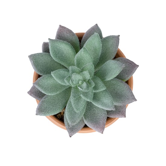 Artificial Garden SUCCULENT SEDEVERIA POTTED PLANT 21041 Διακοσμητικό Φυτό Σεδεβέρια  Φ11x Υ14cm