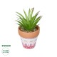 Artificial Garden AIR PLANT NEOPHYTUM POTTED PLANT 21043 Διακοσμητικό Φυτό Νεόφυτο Φ12 x Υ15cm