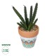 Artificial Garden SUCCULENT EUPHORBIA POTTED PLANT 21045 Διακοσμητικό Φυτό Ευφορβία Φ11 x Υ19cm