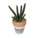 Artificial Garden SUCCULENT EUPHORBIA POTTED PLANT 21045 Διακοσμητικό Φυτό Ευφορβία Φ11 x Υ19cm