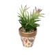 Artificial Garden SUCCULENT CRASSULA POTTED PLANT 21046 Διακοσμητικό Φυτό Κρασούλα  Φ12 x Υ20cm