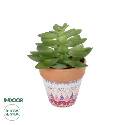 Artificial Garden SUCCULENT ECHEVERIA POTTED PLANT 21048 Διακοσμητικό Φυτό Εχεβέρια Φ13 x Υ18cm