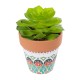 Artificial Garden SUCCULENT ECHEVERIA 21049 Διακοσμητικό Φυτό Παχύφυτο Εχεβέρια Υ14cm