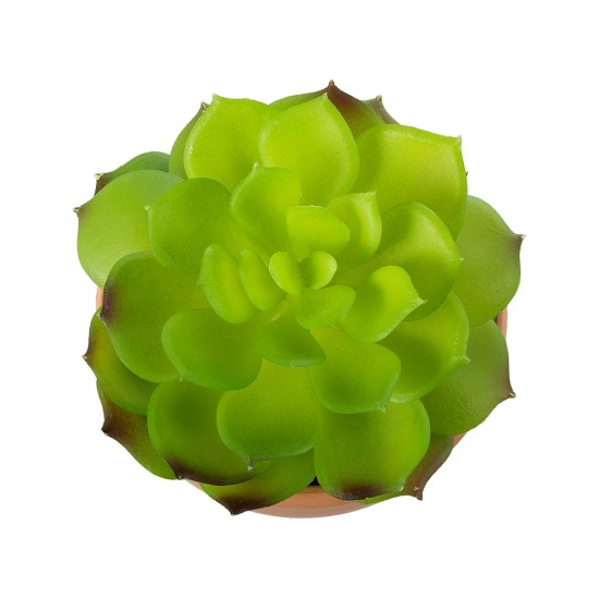 Artificial Garden SUCCULENT ECHEVERIA 21049 Διακοσμητικό Φυτό Παχύφυτο Εχεβέρια Υ14cm