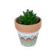 Artificial Garden SUCCULENT SANSEVIERIA POTTED PLANT 21051 Διακοσμητικό Φυτό Σανσεβιέρια  Φ8x Υ14cm