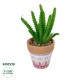 Artificial Garden SUCCULENT EUPHORBIA POTTED PLANT 21052 Διακοσμητικό Φυτό Ευφορβία Φ18 x Υ23cm