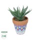 Artificial Garden SUCCULENT ALOE POTTED PLANT 21053 Διακοσμητικό Φυτό Αλόη  Φ15 x Υ19cm