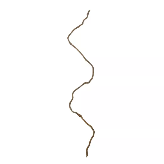 Artificial Garden DRY VINE 21067 Τεχνητό Διακοσμητικό Κλαδί Ξηρό Αμπέλι Μ8 x Π8 x Υ180cm - Σετ 10 τμχ Artificial Garden DRY VINE 21067 Τεχνητό Διακοσμητικό Κλαδί Ξηρό Αμπέλι Μ8 x Π8 x Υ180cm - Σετ 10 τμχ