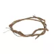 Artificial Garden DRY VINE 21067 Τεχνητό Διακοσμητικό Κλαδί Ξηρό Αμπέλι Μ8 x Π8 x Υ180cm - Σετ 10 τμχ Artificial Garden DRY VINE 21067 Τεχνητό Διακοσμητικό Κλαδί Ξηρό Αμπέλι Μ8 x Π8 x Υ180cm - Σετ 10 τμχ