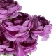 Artificial Garden PURPLE PEONY FLOWER BRANCH 21080 Τεχνητό Διακοσμητικό Μπουκέτο Μώβ Παιώνιας Y45cm Artificial Garden PURPLE PEONY FLOWER BRANCH 21080 Τεχνητό Διακοσμητικό Μπουκέτο Μώβ Παιώνιας Y45cm