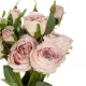 Artificial Garden DUSTY PINK ROSE BOUQUET 21084 Τεχνητό Διακοσμητικό Μπουκέτο Τριαντάφυλλα Ανοιχτό Ροζ Y44cm Artificial Garden DUSTY PINK ROSE BOUQUET 21084 Τεχνητό Διακοσμητικό Μπουκέτο Τριαντάφυλλα Ανοιχτό Ροζ Y44cm