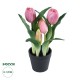 Artificial Garden PINK TULIP 21092 Διακοσμητικό Φυτό Ροζ Τουλίπα Υ23cm