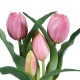 Artificial Garden PINK TULIP 21092 Διακοσμητικό Φυτό Ροζ Τουλίπα Υ23cm