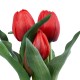 Artificial Garden RED TULIP 21094 Διακοσμητικό Φυτό Κόκκινη Τουλίπα Υ23cm