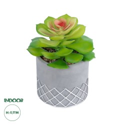 Artificial Garden SUCCULENT SEDEVERIA 21095 Διακοσμητικό Φυτό Παχύφυτο Σεντεβέρια Υ17cm