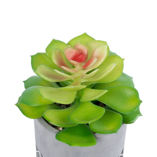 Artificial Garden SUCCULENT SEDEVERIA 21095 Διακοσμητικό Φυτό Παχύφυτο Σεντεβέρια Υ17cm