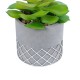 Artificial Garden SUCCULENT SEDEVERIA 21095 Διακοσμητικό Φυτό Παχύφυτο Σεντεβέρια Υ17cm