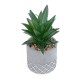 Artificial Garden SUCCULENT ALOE 21096 Διακοσμητικό Φυτό Παχύφυτο Αλόη Υ17cm