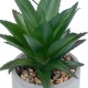 Artificial Garden SUCCULENT ALOE 21096 Διακοσμητικό Φυτό Παχύφυτο Αλόη Υ17cm