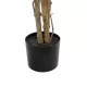 Artificial Garden PINK CHERRY 21098 Τεχνητό Διακοσμητικό Δέντρο Κερασιά Μ80 x Π80 x Υ160cm Artificial Garden PINK CHERRY 21098 Τεχνητό Διακοσμητικό Δέντρο Κερασιά Μ80 x Π80 x Υ160cm