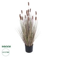 Artificial Garden BROWN LAGURUS 21099 Διακοσμητικό Φυτό Καφέ Λαγοουρά Υ70cm