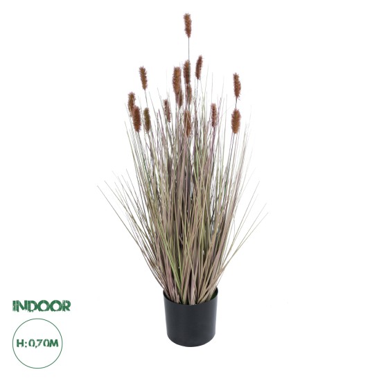 Artificial Garden BROWN LAGURUS 21099 Διακοσμητικό Φυτό Καφέ Λαγοουρά Υ70cm