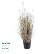 Artificial Garden BEIGE LAGURU 21100 Διακοσμητικό Φυτό Μπεζ Λαγοουρά Υ70cm