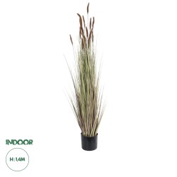 Artificial Garden BROWN LAGURUS 21101 Διακοσμητικό Φυτό Καφέ Λαγοουρά Υ140cm