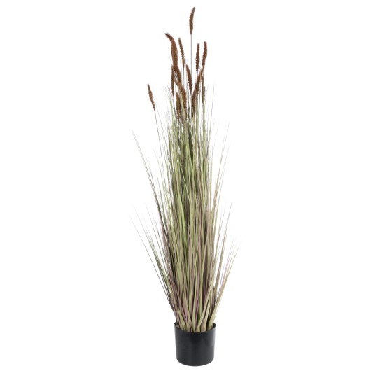 Artificial Garden BROWN LAGURUS 21101 Διακοσμητικό Φυτό Καφέ Λαγοουρά Υ140cm