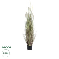 Artificial Garden BEIGE LAGURUS 21102 Διακοσμητικό Φυτό Μπεζ Λαγοουρά Υ140cm