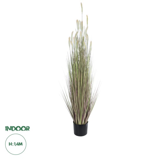 Artificial Garden BEIGE LAGURUS 21102 Διακοσμητικό Φυτό Μπεζ Λαγοουρά Υ140cm