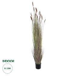 Artificial Garden BROWN LAGURUS 21103 Διακοσμητικό Φυτό Καφέ Λαγοουρά Υ180cm