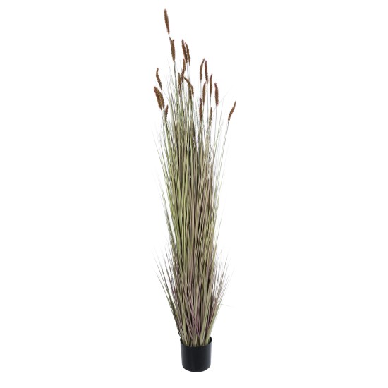 Artificial Garden BROWN LAGURUS 21103 Διακοσμητικό Φυτό Καφέ Λαγοουρά Υ180cm