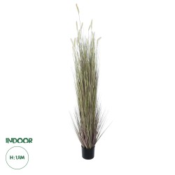 Artificial Garden BEIGE LAGURUS 21104 Διακοσμητικό Φυτό Μπεζ Λαγοουρά Υ180cm