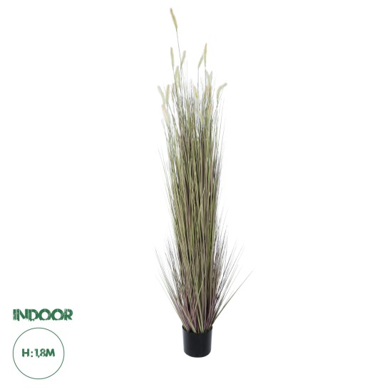 Artificial Garden BEIGE LAGURUS 21104 Διακοσμητικό Φυτό Μπεζ Λαγοουρά Υ180cm