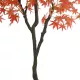 Artificial Garden MAPLE TREE 21105 Τεχνητό Διακοσμητικό Δέντρο Σφένδαμος Μ80 x Π80 x Υ160cm Artificial Garden MAPLE TREE 21105 Τεχνητό Διακοσμητικό Δέντρο Σφένδαμος Μ80 x Π80 x Υ160cm