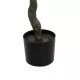 Artificial Garden MAPLE TREE 21105 Τεχνητό Διακοσμητικό Δέντρο Σφένδαμος Μ80 x Π80 x Υ160cm Artificial Garden MAPLE TREE 21105 Τεχνητό Διακοσμητικό Δέντρο Σφένδαμος Μ80 x Π80 x Υ160cm