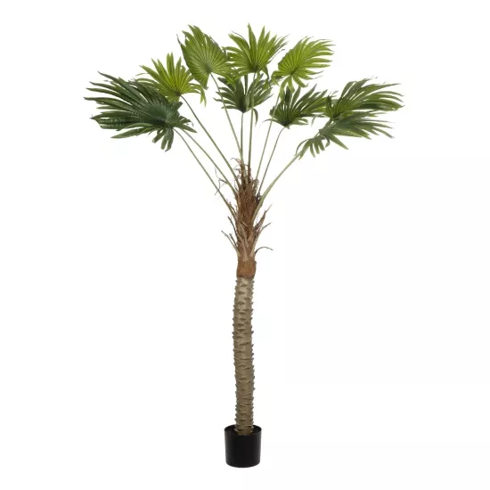 Artificial Garden WASHINGTONIA FILIFERA TREE 21107 Τεχνητό Διακοσμητικό Φοινικόδεντρου Υ200cm Artificial Garden WASHINGTONIA FILIFERA TREE 21107 Τεχνητό Διακοσμητικό Φοινικόδεντρου Υ200cm