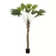 Artificial Garden WASHINGTONIA FILIFERA TREE 21107 Τεχνητό Διακοσμητικό Φοινικόδεντρου Υ200cm Artificial Garden WASHINGTONIA FILIFERA TREE 21107 Τεχνητό Διακοσμητικό Φοινικόδεντρου Υ200cm